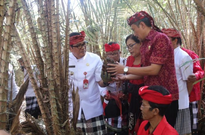 Bupati Sanjaya Ngantor di Desa Mundeh Kauh Angkat Potensi Unggulan Pertanian Buah (9)