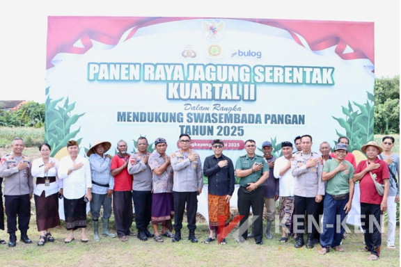 panen jagung