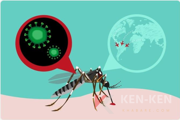 Dinkes Bali tegaskan belum ditemukan kasus Zika terkonfirmasi