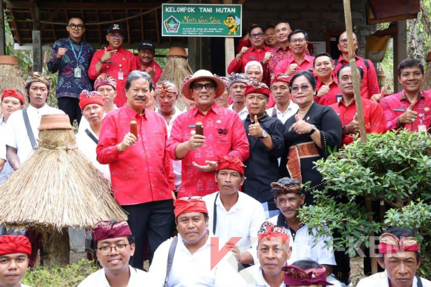 bungan desa